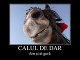 calul de dar