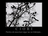ciori"