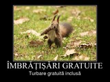 imbratisari gratuite