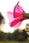 009-img_5710.jpg.small.jpeg