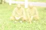 012-img_5722.jpg.small.jpeg