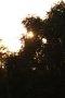 013-img_5724.jpg.small.jpeg