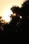 014-img_5725.jpg.small.jpeg