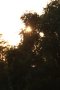 015-img_5726.jpg.small.jpeg