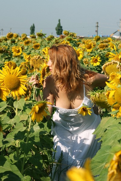 Smell the sunflowers \u2013 nicu\u0026#39;s photoblog