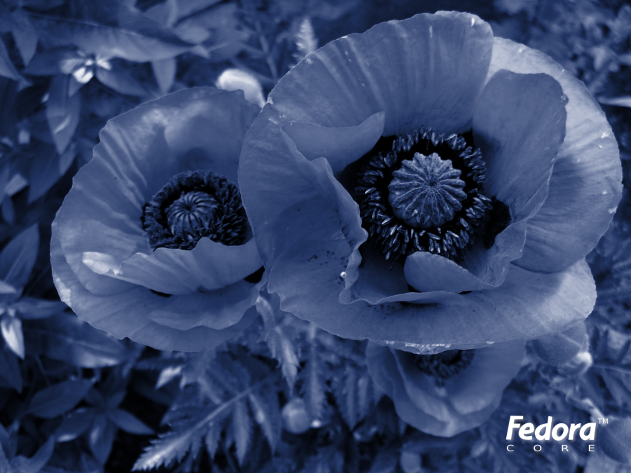 blue_flower_02.png