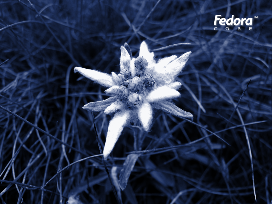 blue_flower_03.png