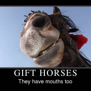 gift-horse.jpg