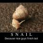 snail.jpg