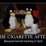 the-cigarette-after.jpg