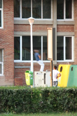 023-img_5736.jpg.medium.jpeg