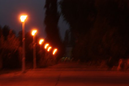 051-img_5776.jpg.medium.jpeg