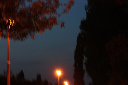 052-img_5777.jpg.medium.jpeg