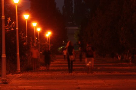 054-img_5779.jpg.medium.jpeg