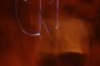 064-img_5789.jpg.small.jpeg
