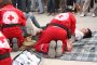 131-img_7797.jpg.small.jpeg