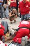 134-img_7801.jpg.small.jpeg