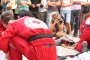 136-img_7805.jpg.small.jpeg