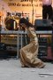 171-img_7868.jpg.small.jpeg