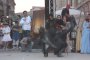 207-img_7924.jpg.small.jpeg