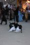 216-img_7939.jpg.small.jpeg