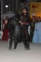 242-img_7974.jpg.small.jpeg
