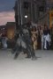 243-img_7975.jpg.small.jpeg