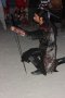 252-img_7985.jpg.small.jpeg