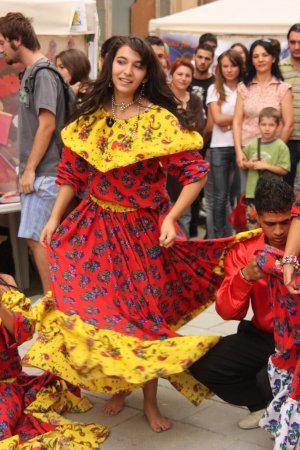 299-img_8214.jpg.medium.jpeg