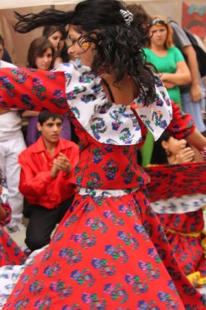 300-img_8215.jpg.medium.jpeg