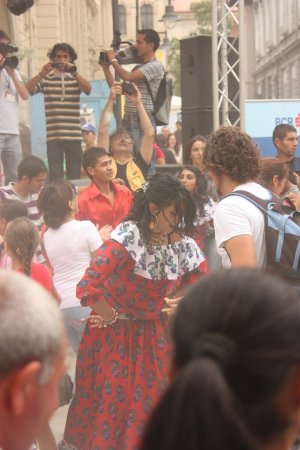 309-img_8240.jpg.medium.jpeg