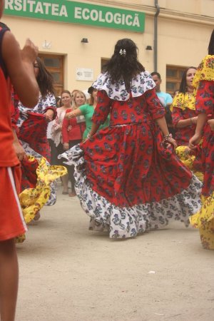 312-img_8247.jpg.medium.jpeg