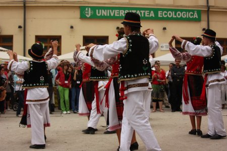 327-img_8296.jpg.medium.jpeg