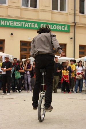 340-img_8326.jpg.medium.jpeg