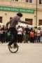 341-img_8327.jpg.small.jpeg