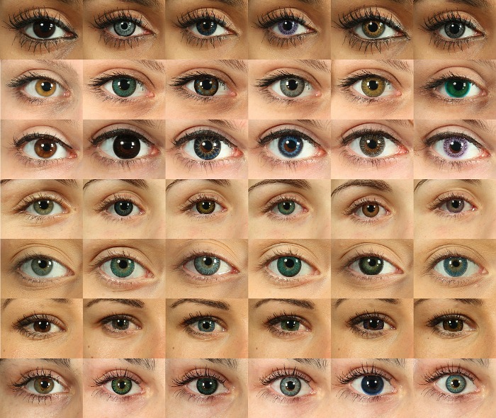 lot of eyes