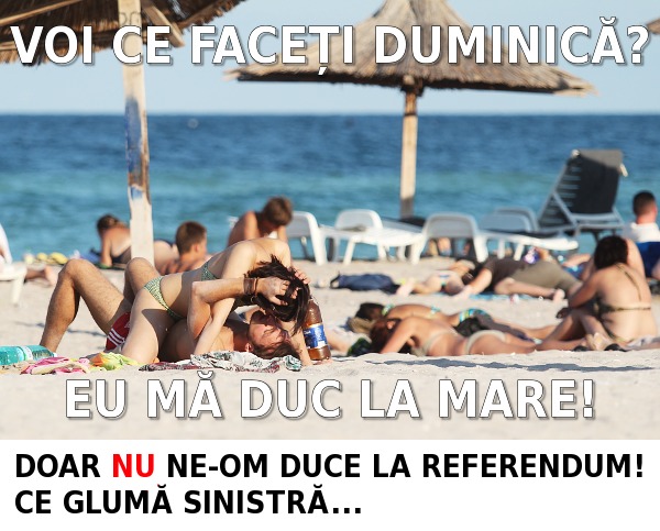 referendum