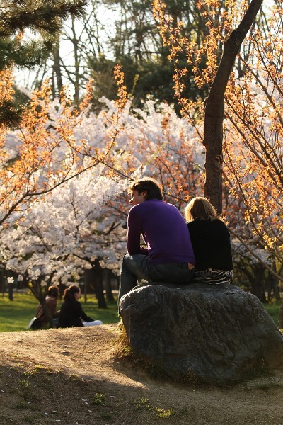 hanami