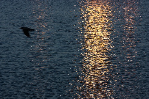 Half-winter sunset at the lake