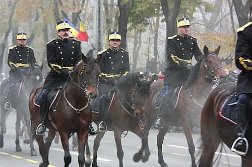 December 1st: Cavalry