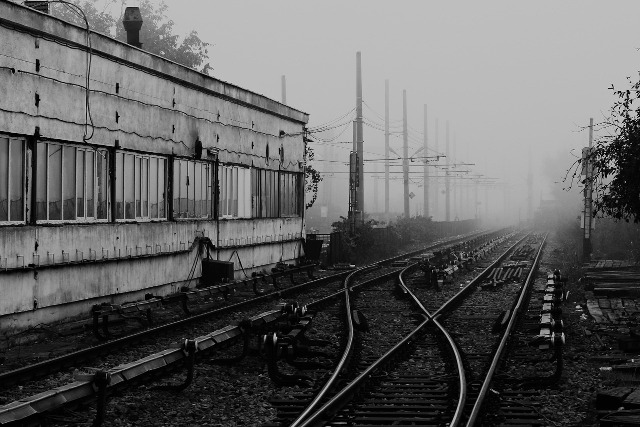 foggy tracks