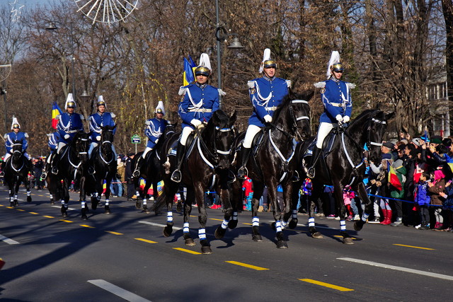 Horses on parade