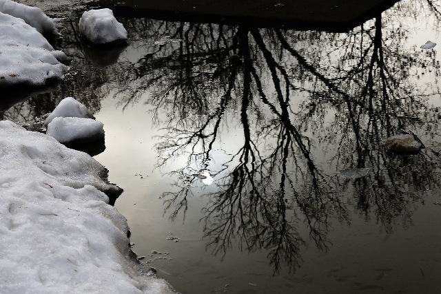 mirrored winter