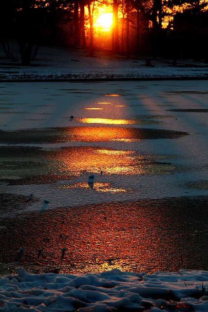 frozen sunset