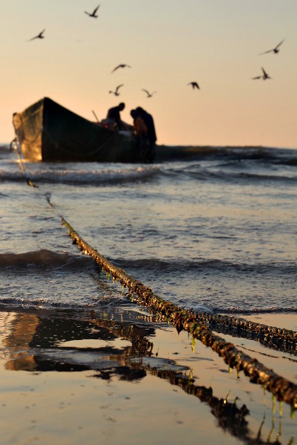 Two mornings with fishermen