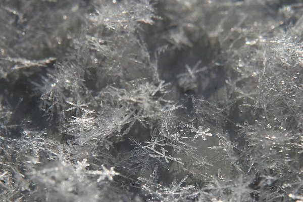 snow flakes close-up