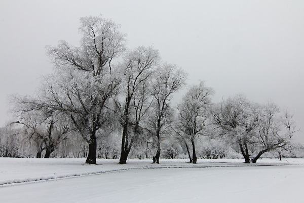 winter landscape in the city