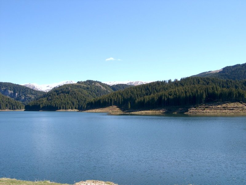 /images/sv400006.jpg