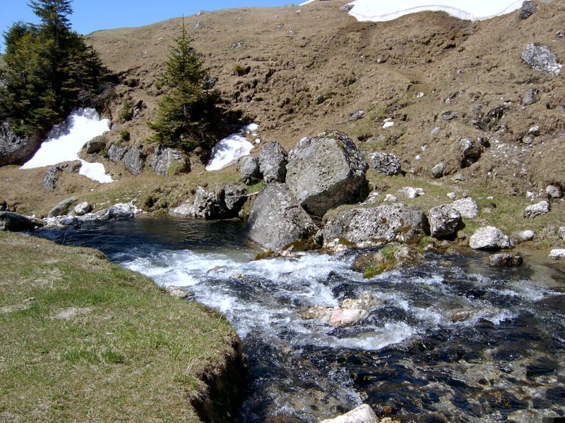 /images/sv400040.jpg