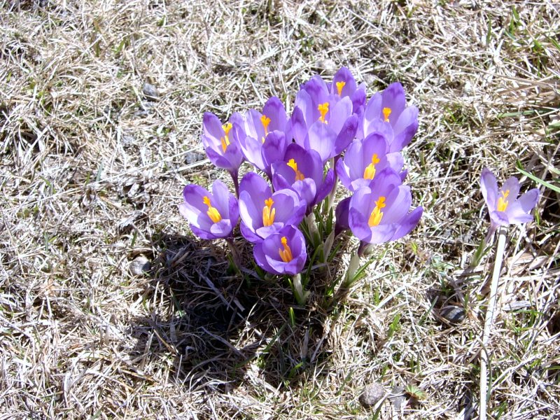 /images/sv400043.jpg